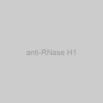 anti-RNase H1
